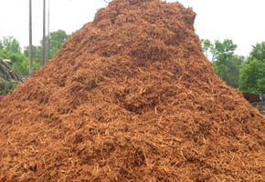 mulch-1