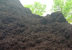 mulch-3